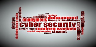IAS Cyber Security Paper